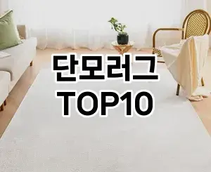 [할인추천]단모러그 추천 순위  TOP10 구매가이드 2026년 1월 2주차핫딜! 좋은 후기이랍니당♬