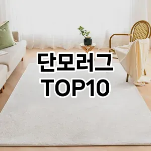 [할인추천]단모러그 추천 순위  TOP10 구매가이드 2026년 1월 2주차핫딜! 좋은 후기이랍니당♬