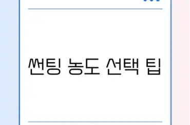 최적의 자동차 썬팅 농도 추천 가이드
