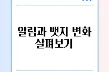 카톡 조용한 채팅방 기능: 알림 및 뱃지 카운트