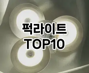 [강력추천]퍽라이트 추천 순위  TOP10 구매가이드 2026년 1월 2주차핫딜! 할인 안내입니당★