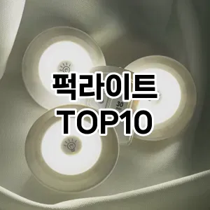 [강력추천]퍽라이트 추천 순위  TOP10 구매가이드 2026년 1월 2주차핫딜! 할인 안내입니당★