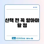 반려견 산책 매너 완벽 정리와 최신 가이드 알아보기