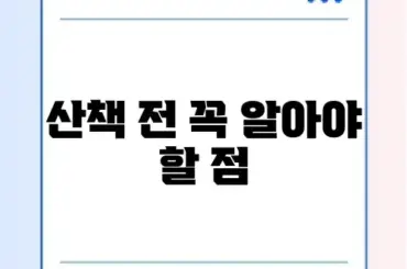 반려견 산책 매너 완벽 정리와 최신 가이드 알아보기