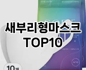 [리얼리뷰]새부리형마스크 추천 순위  TOP10 후기 비교