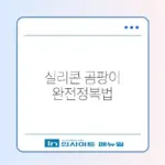 실리콘 곰팡이 제거 안될 때 완벽 해결 방법 총정리 알아보기