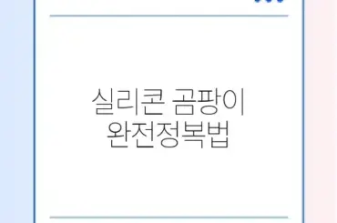 실리콘 곰팡이 제거 안될 때 완벽 해결 방법 총정리 알아보기
