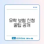 2026년 유학 보험 온라인 신청 방법 완벽 가이드 알아보기