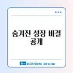워드프레스 롱테일 키워드 전략 완벽 가이드 알아보기