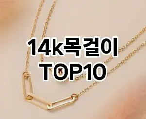 [대박할인]14k목걸이 추천 순위 구매가이드 TOP10 2026년 4월4주차