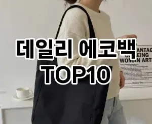 [베스트템]데일리 에코백 추천 순위  TOP10 2026년 4월1주차