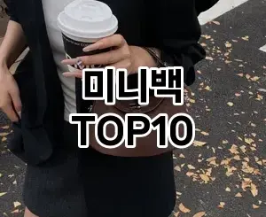 [솔직리뷰]미니백 추천 순위  TOP10 2026년 4월1주차