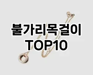 [리뷰리뷰]불가리목걸이 추천 순위 구매가이드 TOP10 2026년 4월4주차
