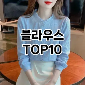 [추천안내]블라우스 추천 순위  TOP10 2026년 4월3주차