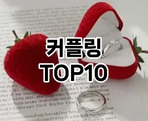 [추천리뷰]커플링 추천 순위 구매가이드 TOP10 2026년 4월4주차