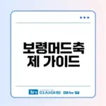 2026 보령머드축제 일정과 꿀팁은?