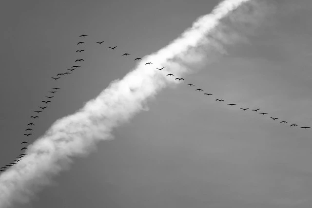 2026 보령머드축제 일정과 꿀팁은?