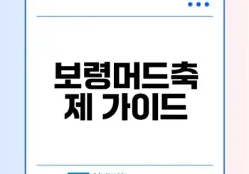 2026 보령머드축제 일정과 꿀팁은?