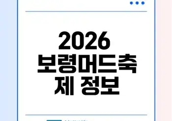 보령머드축제 2026 모든 정보와 꿀팁