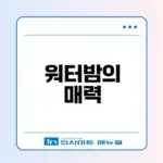 여름 물놀이 음악 축제 워터밤 알아보기