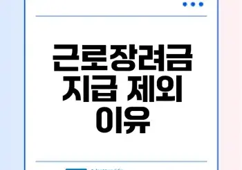 근로장려금 신청 후 지급 제외 사유와 확인 방법