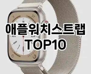 [핫템추천]애플워치스트랩 추천 순위 구매가이드 TOP10 2026년 5월2주차