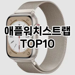 [핫템추천]애플워치스트랩 추천 순위 구매가이드 TOP10 2026년 5월2주차