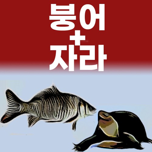 운동선수 붕어 자라 붕어 즙 엑기스 진액 기력회복 원기회복 체력보강 110ml 120포